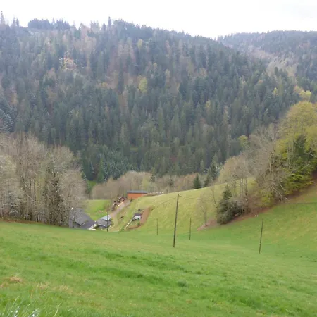 Kaspershaeusle: Alleinlage Mitten Im Wald Daire *