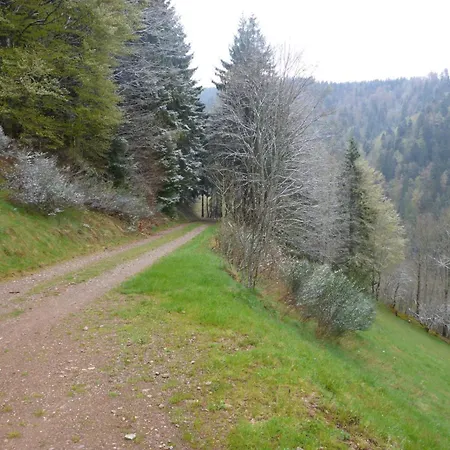 Kaspershaeusle: Alleinlage Mitten Im Wald *