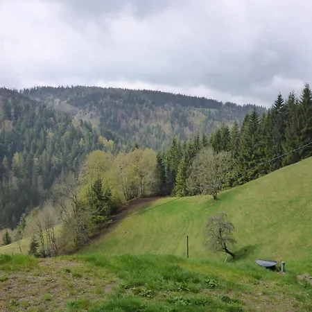 Kaspershaeusle: Alleinlage Mitten Im Wald Daire Sankt Märgen