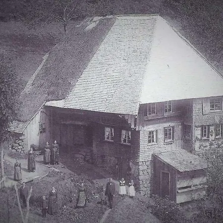 Kaspershaeusle: Alleinlage Mitten Im Wald Sankt Märgen